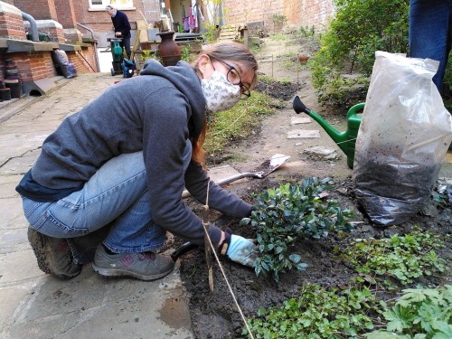 A lady doing some gardening.