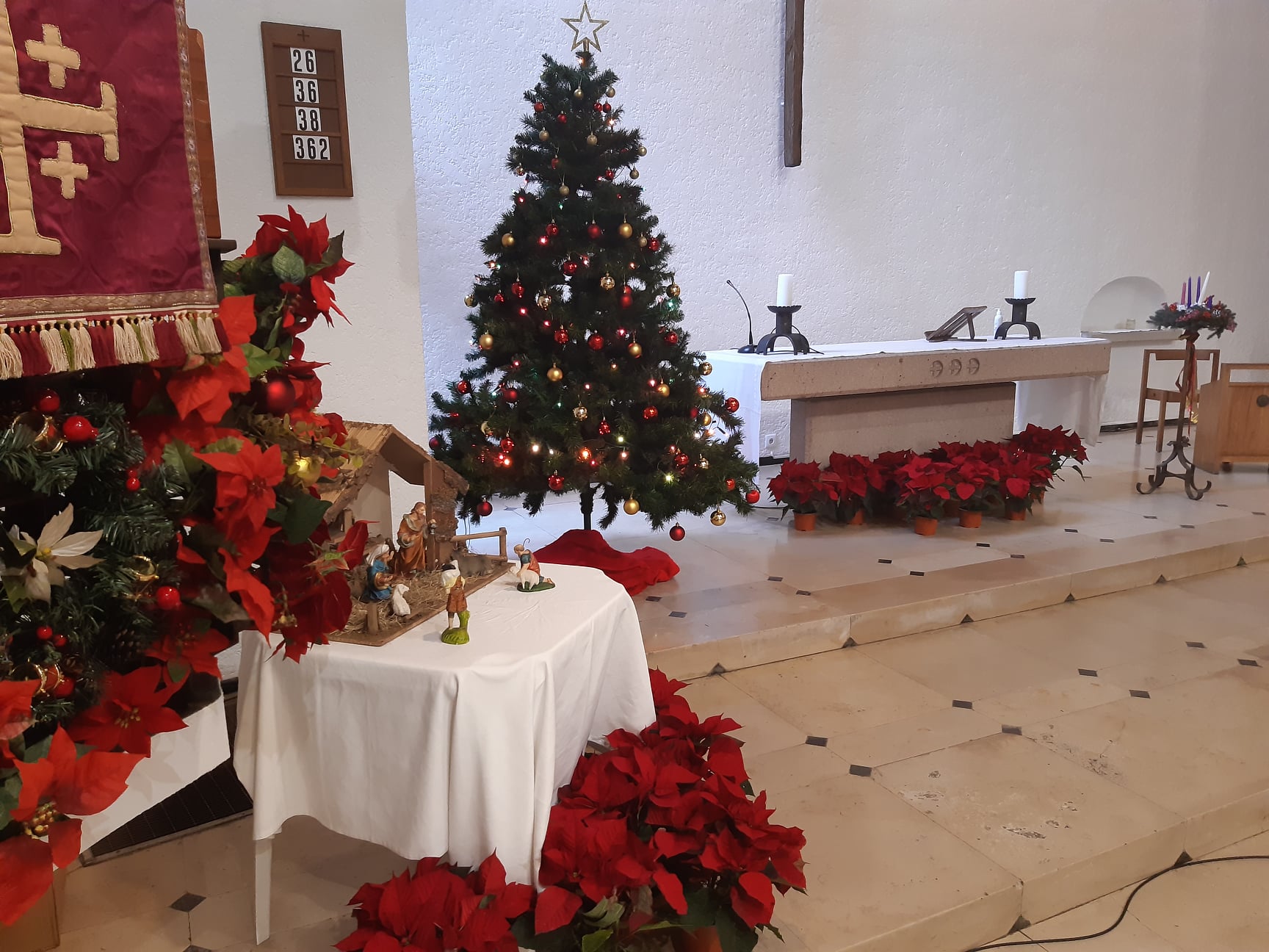 A decorated Christmas tree.