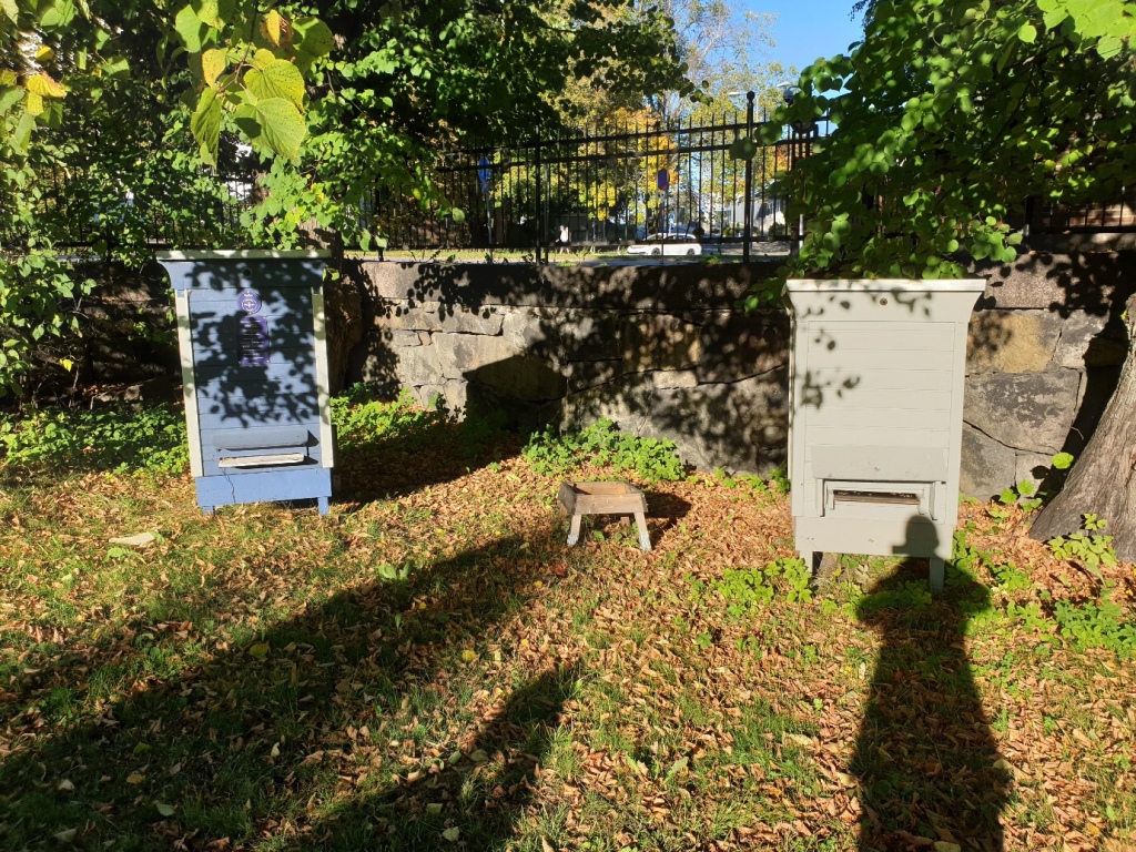 Bee boxes in the church grounds.