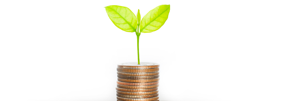 pile of coins with seed growing on top