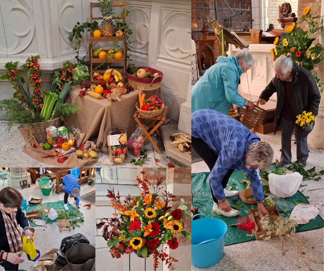 montage of creationtide from Antwerp 2025