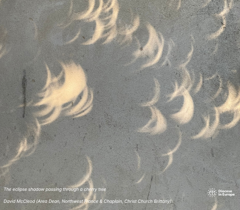 Eclipse shadows 