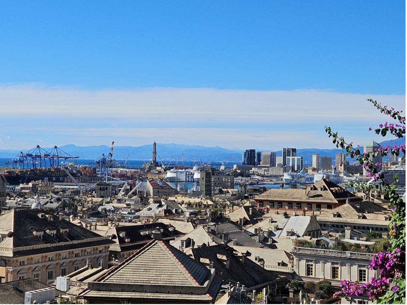 rooftops and blue sky