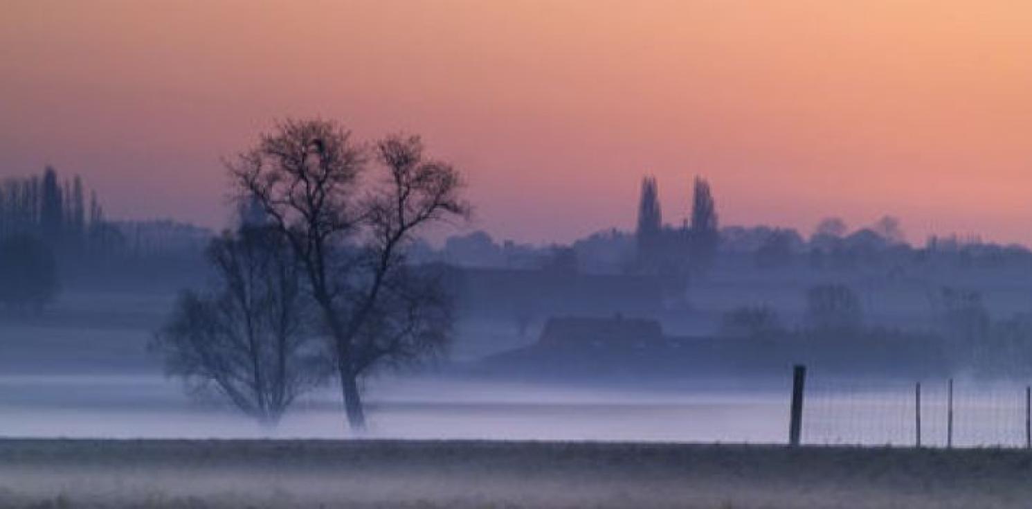 A field at sunrise in Ypres.