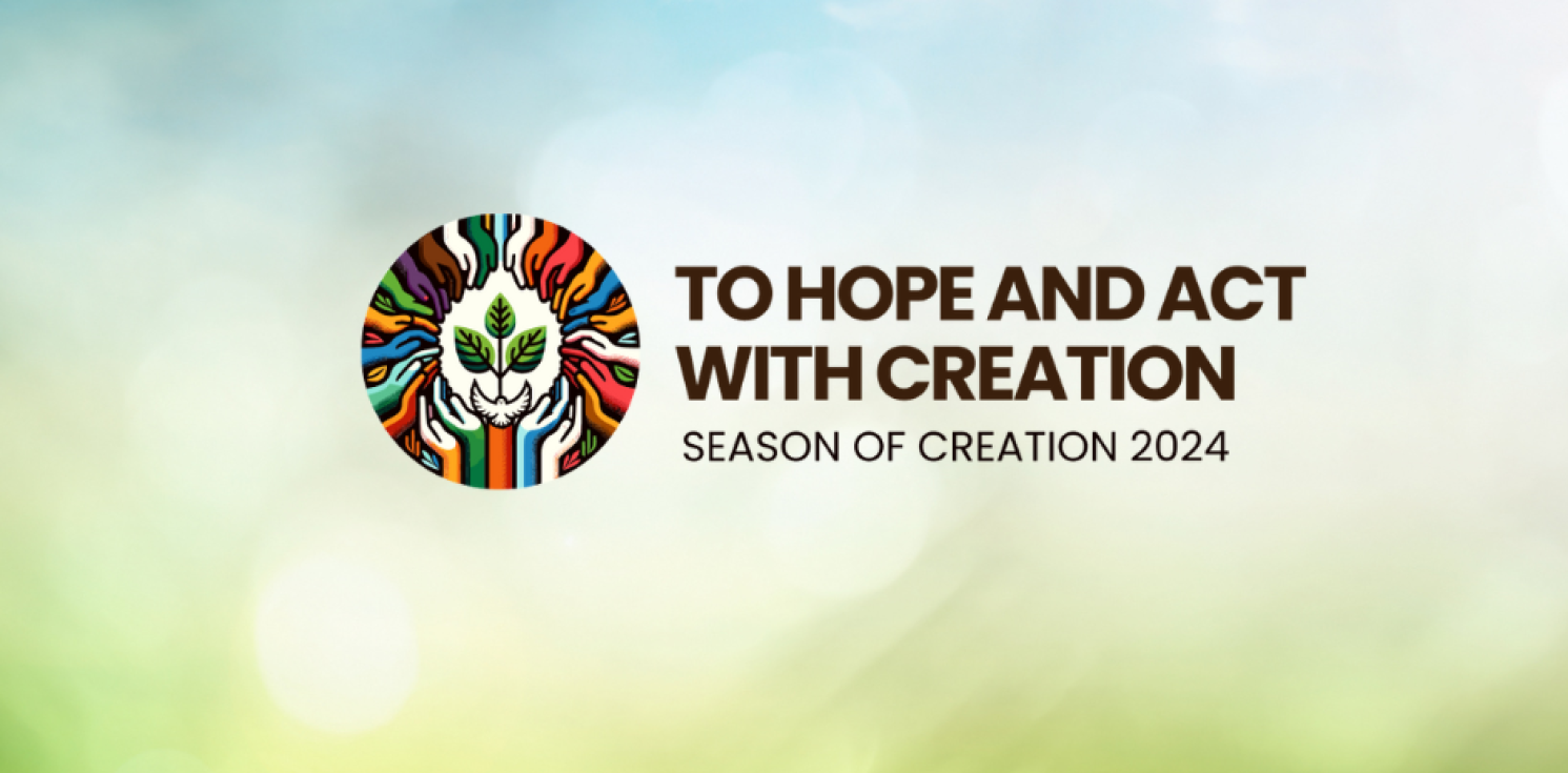creation tide logo