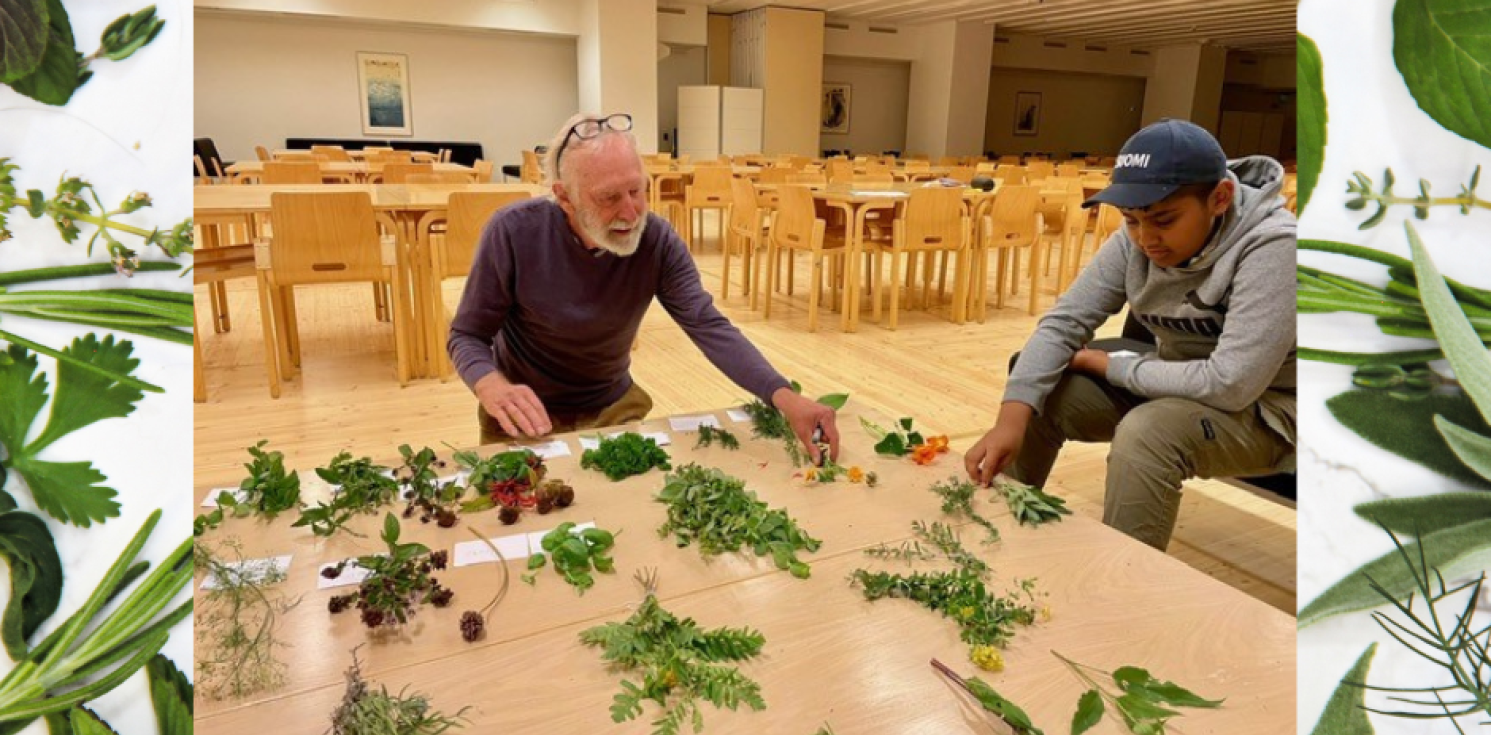 Herbs on a table