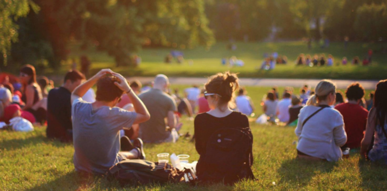 people sitting in a field with their back to the camera