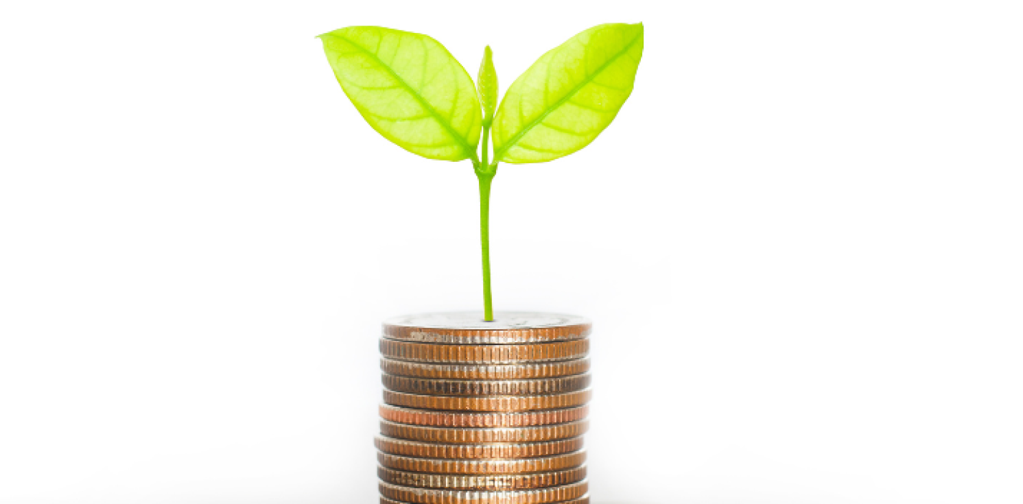 pile of coins with seed growing on top