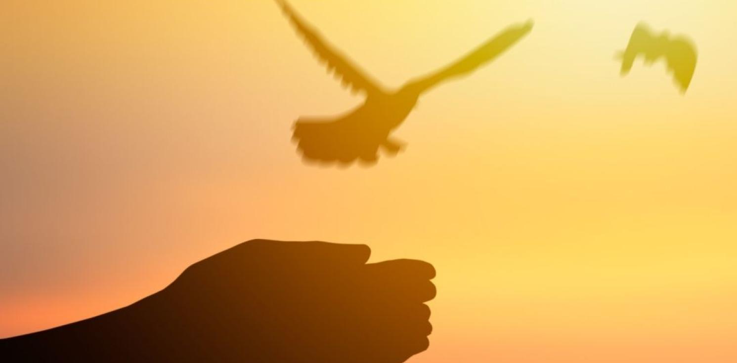 Prayers for Peace
