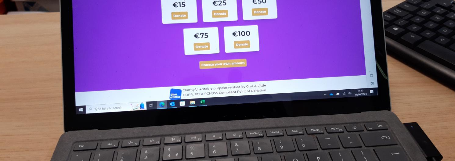 Picture of an online giving page on a computer