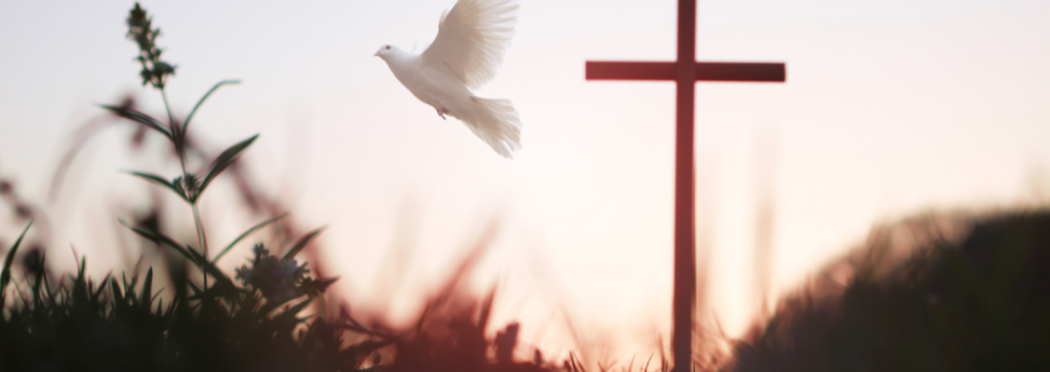 dove and cross