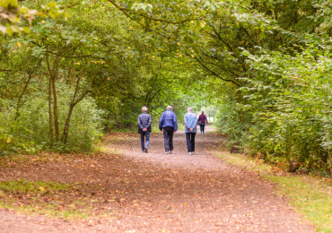 people walk away from the camera down a woodland path