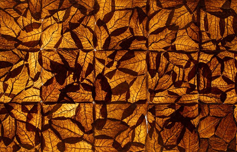 Art made from Tobacco leaves.