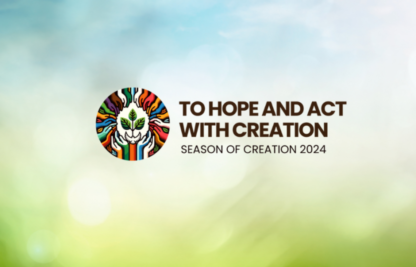 creation tide logo