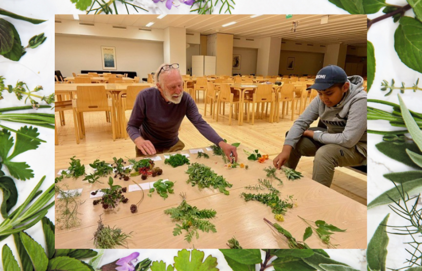 Herbs on a table