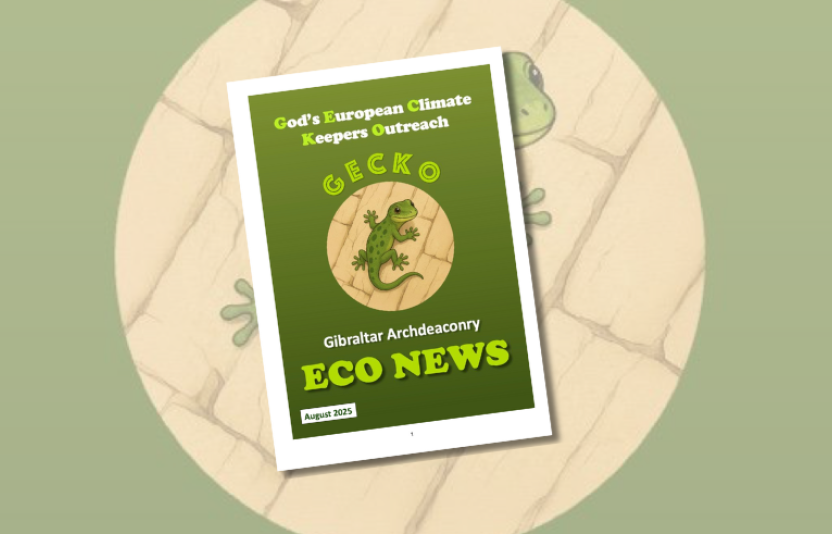 The cover of a brochure called Eco News