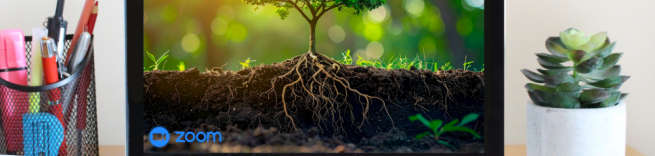 photo of a tree on a computer screen