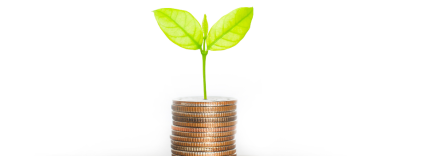 pile of coins with seed growing on top