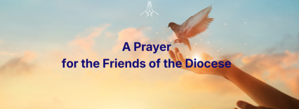 text over a dove