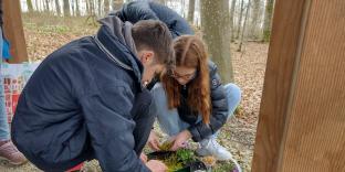 Youth in a forest planting flowers