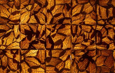 Art made from Tobacco leaves.