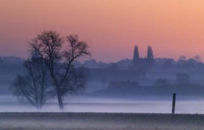 A field at sunrise in Ypres.