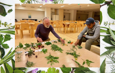 Herbs on a table