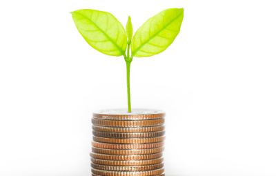 pile of coins with seed growing on top