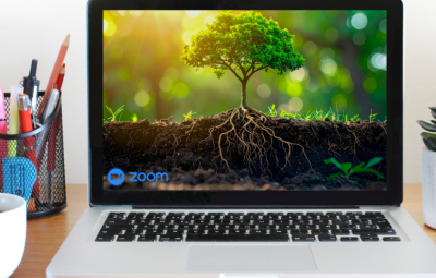 photo of a tree on a computer screen