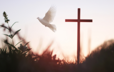 dove and cross